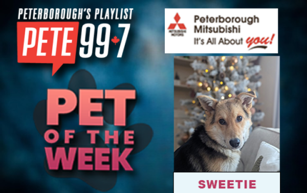 Pet of The Week