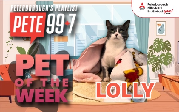 Pet of The Week - Lolly 