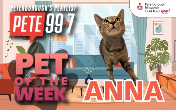 Pet of The Week - Anna