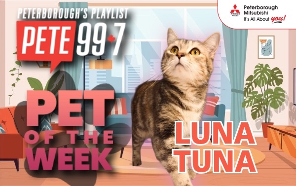 Pet of The Week - Luna Tuna 